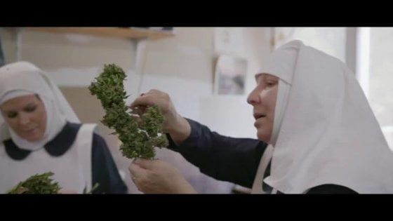 Tra scienza, biodinamica e new age: la storia delle "sorelle della cannabis" diventa un documentario