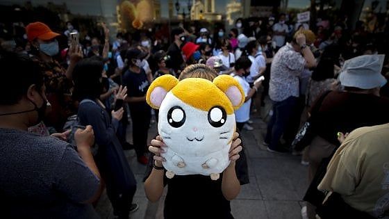 Thailandia, il criceto manga "Hamtaro" contro il governo