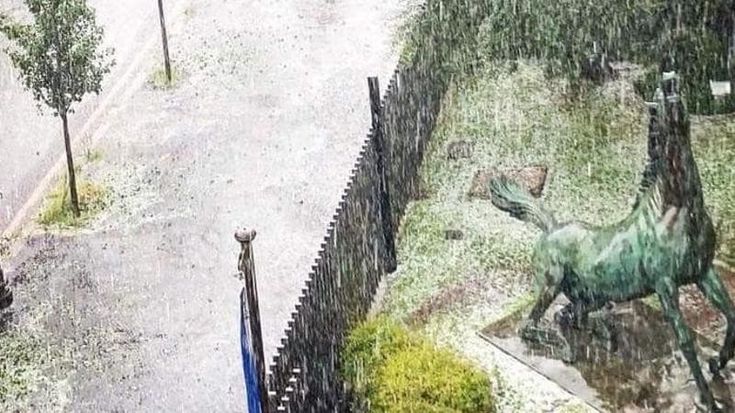 Rai, alcuni canali tv nel nuovo digitale terrestre. “Ma 19 milioni di persone non li vedranno”