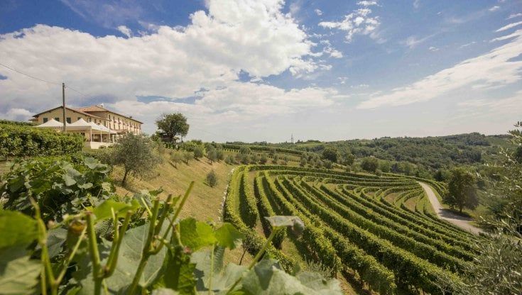 Astoria Wines investe in logistica e punta a crescere sui mercati esteri