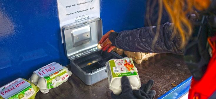365 volte Europa. In Olanda tra mulini a vento e zoccoli di legno