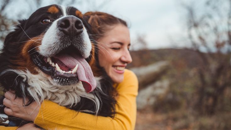 Quando e perché il cane è diventato il migliore amico dell'uomo