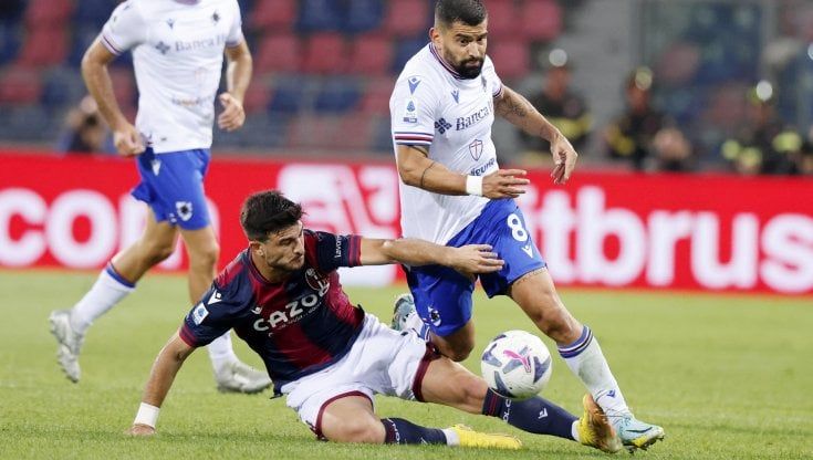 Bologna, Thiago Motta sotto accusa: Arnautovic non si sostituisce, mai