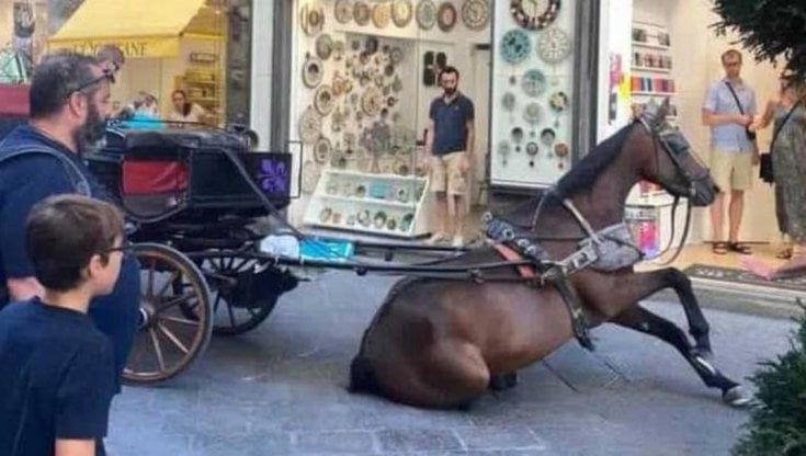 Firenze, polemiche per il cavallo crollato in via Calzaiuoli
