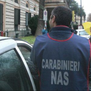 Nas, bilancio 2015: a Parma irregolare il 26% delle attività ispezionate