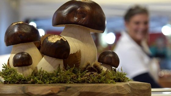 Borgotaro, furto alla Fiera del fungo 42enne in manette
