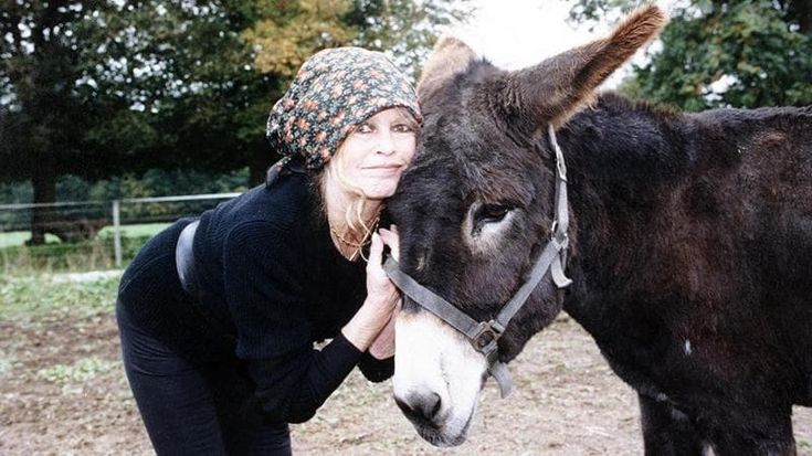 L'eredità di Brigitte Bardot, la quota del figlio e la scelta per la fondazione per gli animali