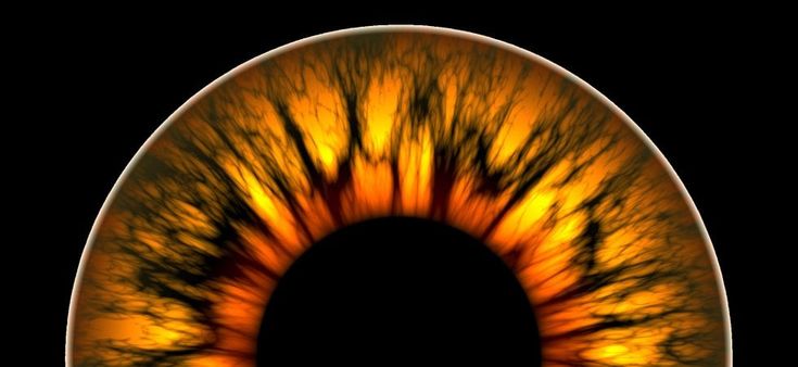 Iride: come il diaframma della macchina fotografica 