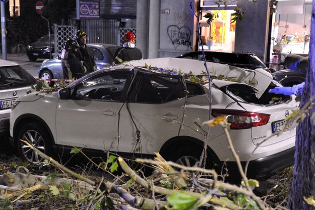 Maltempo a Milano, il forte vento abbatte alberi: l'intervento dei vigili del fuoco 