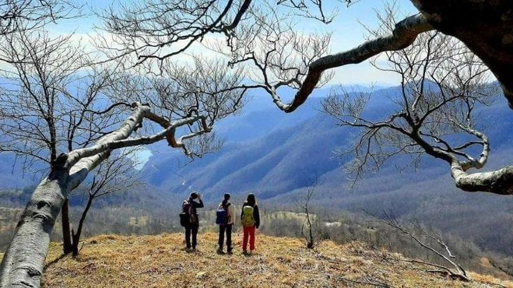 I 30 anni dei Parchi liguri: “Ora energia rinnovabile per sostenere ambiente e costi”