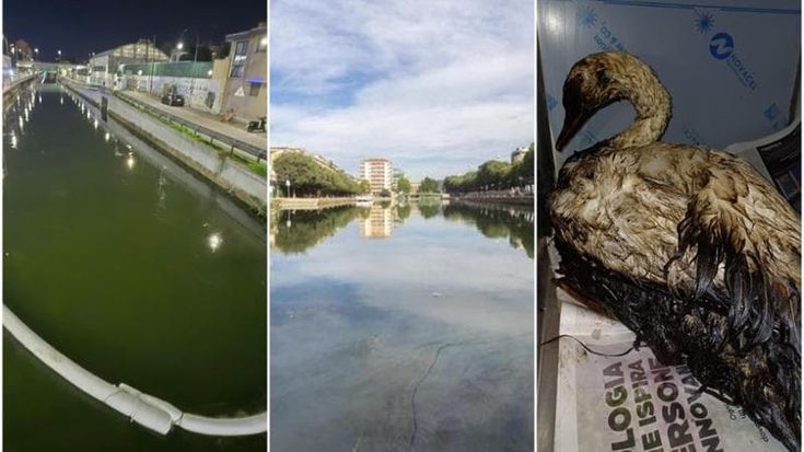 Sversamento nei Navigli, il gasolio è arrivato alla Darsena: “Gesto doloso, gravi danni ambientali”