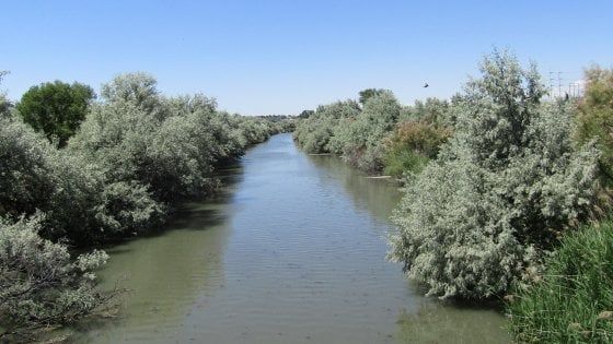 Giordania, brucia l'alloggio dei braccianti in fattoria: 13 vittime, 8 sono bambini