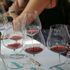 Il Barolo a Serralunga cambia ritmo: il 2023 si beve già, ma non rinuncia al tempo