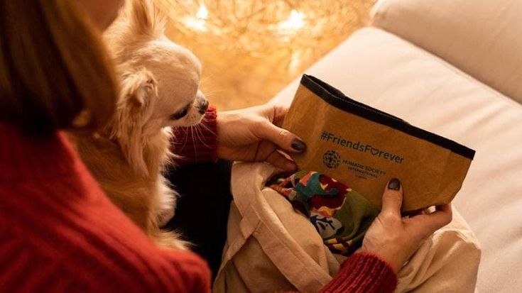 In posa con gli amici a quattro zampe, ritratti di famiglia di Natale