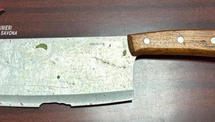 Albenga, giovane colpisce il fratello con una mannaia