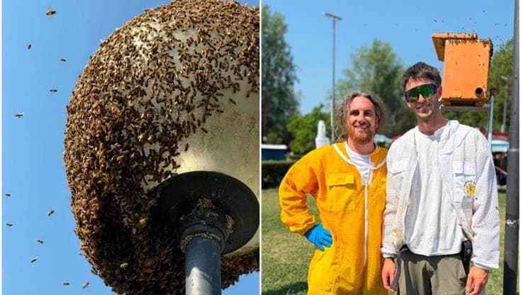 Gran caldo, anche le api vanno in piscina: uno sciame a bordo vasca. L’apicoltore: “Mai ucciderle”