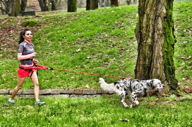 Correre a 'sei zampe', le foto dei nostri lettori