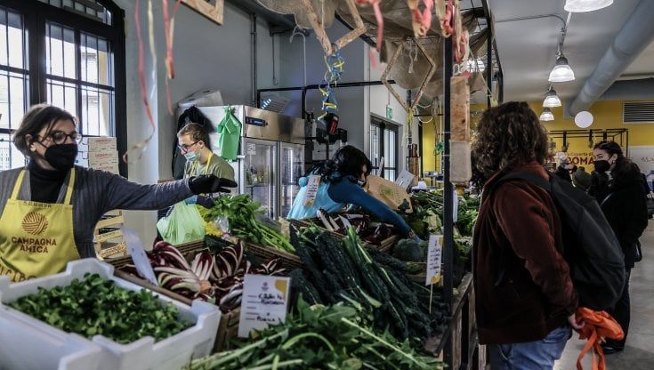 Ermes Sagula, agronomo di Coldiretti: "Senza pioggia le colture in Lombardia sono a rischio"