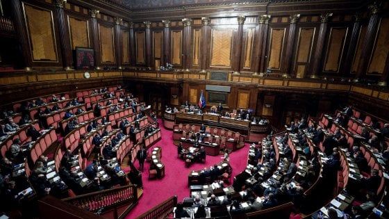 Reddito di cittadinanza, maxi-sanzioni a chi lavora in nero. Rabbia dei precari Anpal Servizi: "Sciopero"