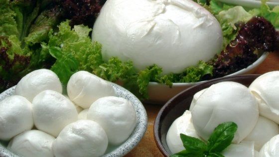 La Mozzarella di bufala non è più un affare (solo) da maschi: prime due donne iscritte al corso da casaro