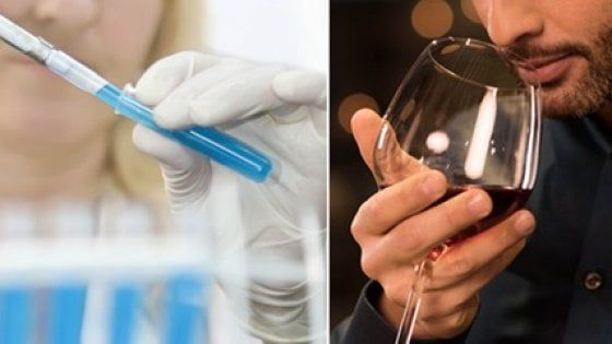 E ora il cibo va all'università anche a Napoli: nasce Scienze Gastronomiche Mediterranee