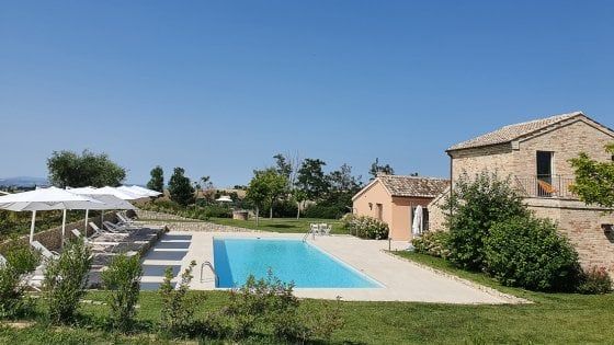 Tra i vigneti delle colline marchigiane