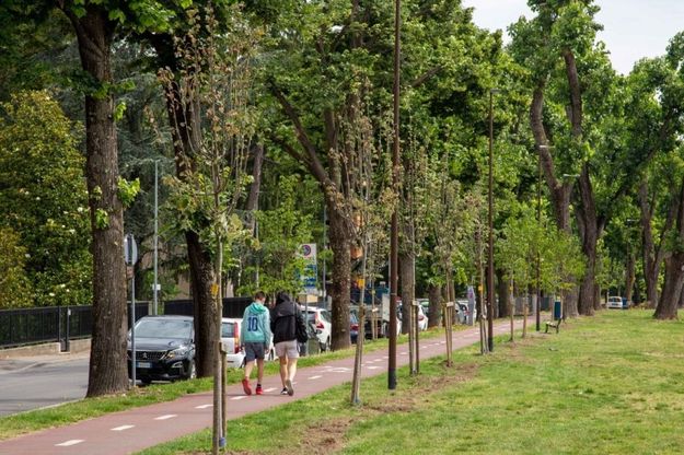 Parma, trenta alberi donati da Cabiria per festeggiare 30 candeline