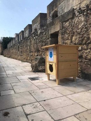 Brindisi, arrivano le 'gattofioriere': "Mettete qui il cibo per gli animali"