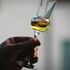 Grappa e giovani: un Millennial su due la beve di frequente per la sua convivialità