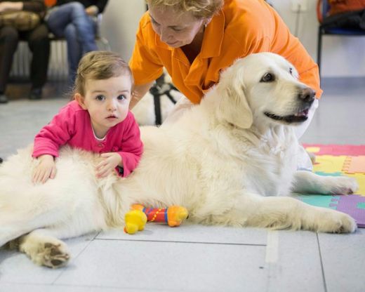 Il cane in corsia con il padrone: “Così lo aiuta a guarire prima”