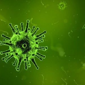 La memoria delle cellule, ecco come il sistema immunitario ricorda