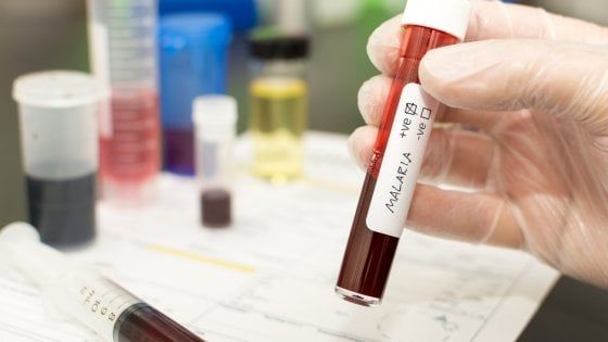 Malaria,  un passo avanti per metterla ko. Altri 21 paesi verso l'eliminazione