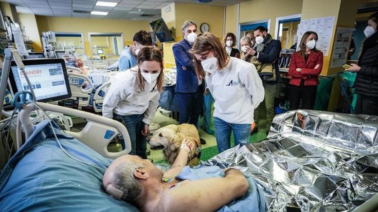Animali da compagnia in visita negli ospedali dell’Asl Toscana sud est: “Parte del processo di cura”