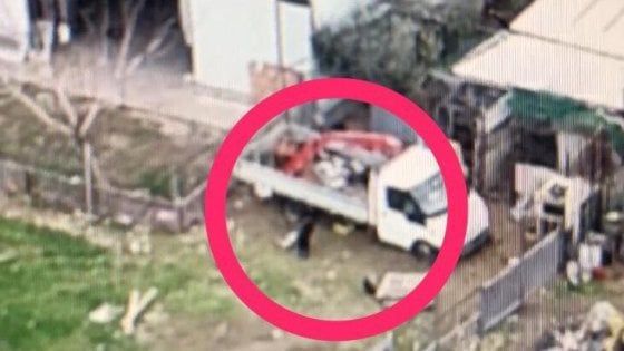 Pantera in libertà nel Foggiano, anche i Predator dell'Aeronautica militare per stanarla