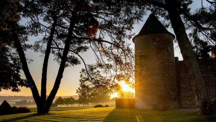 Yquem 2023, l’annata che chiude una trilogia straordinaria