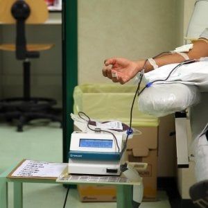 Lazio, Chikungunya: ecco dove si può donare il sangue