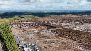 In Finlandia Google abbatte una foresta per costruirci un data center 