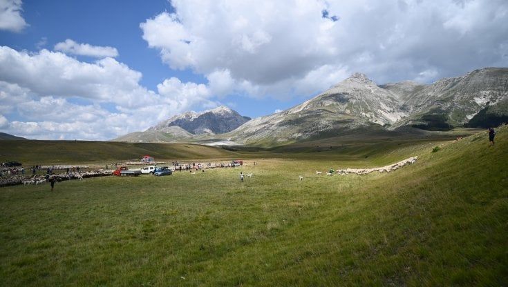 Sulle strade della transumanza: l'Abruzzo raccontato dalla solitudine eroica dei pastori 