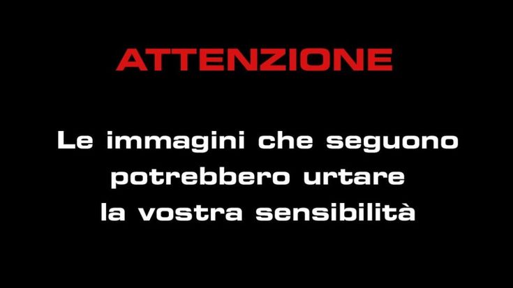 Strage Nizza, quella bambola accanto al cadavere