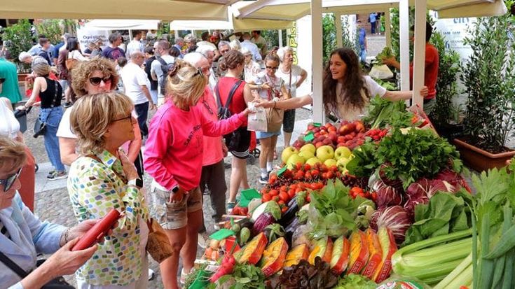 Caab, Marcatili: “Da luglio in gestione il Mercato delle Erbe”