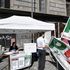 Alle radici del mal di sinistra