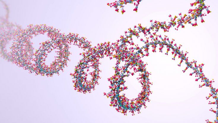 Angioedema ereditario, il farmaco che colpisce l’Rna