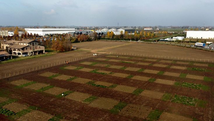 Davines a Parma punta sull'agricoltura rigenerativa - foto