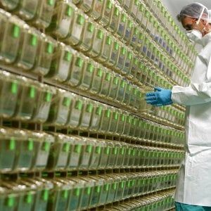 Nasce a Milano la prima banca biologica per combattere il coronavirus