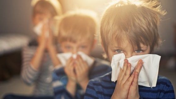 Ma il brodo per il raffreddore funziona davvero?