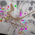 Il dinosauro con quattro ali che rivela i segreti del volo
