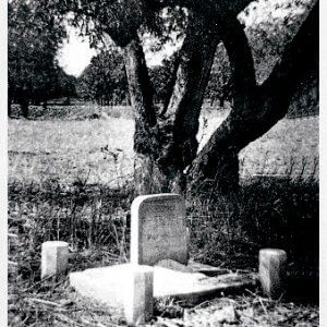 A Cassibile 72 anni dopo: dell'otto settembre non c'è più traccia