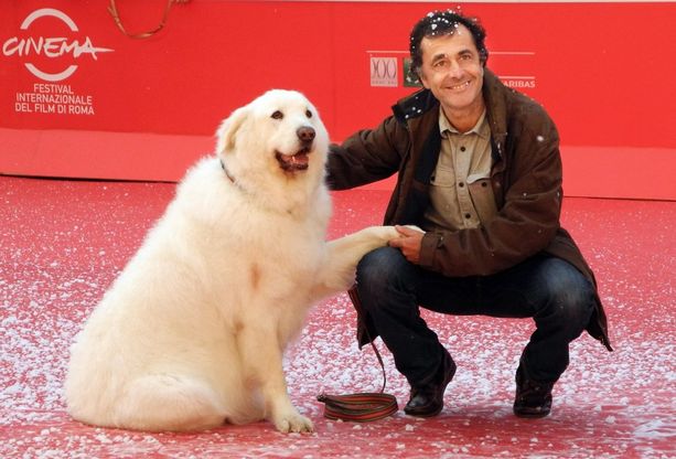"Belle et Sebastien", la stella &egrave; il cane da pastore dei Pirenei