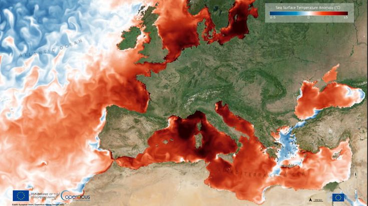 Allarme, ora il mare bolle. Sei gradi in più della media. “Gravi danni all’ecosistema”
