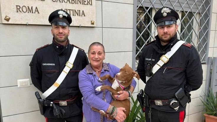 Furto del pitbull e tentata estorsione: “Se rivuoi Shary, paga 500 euro”
